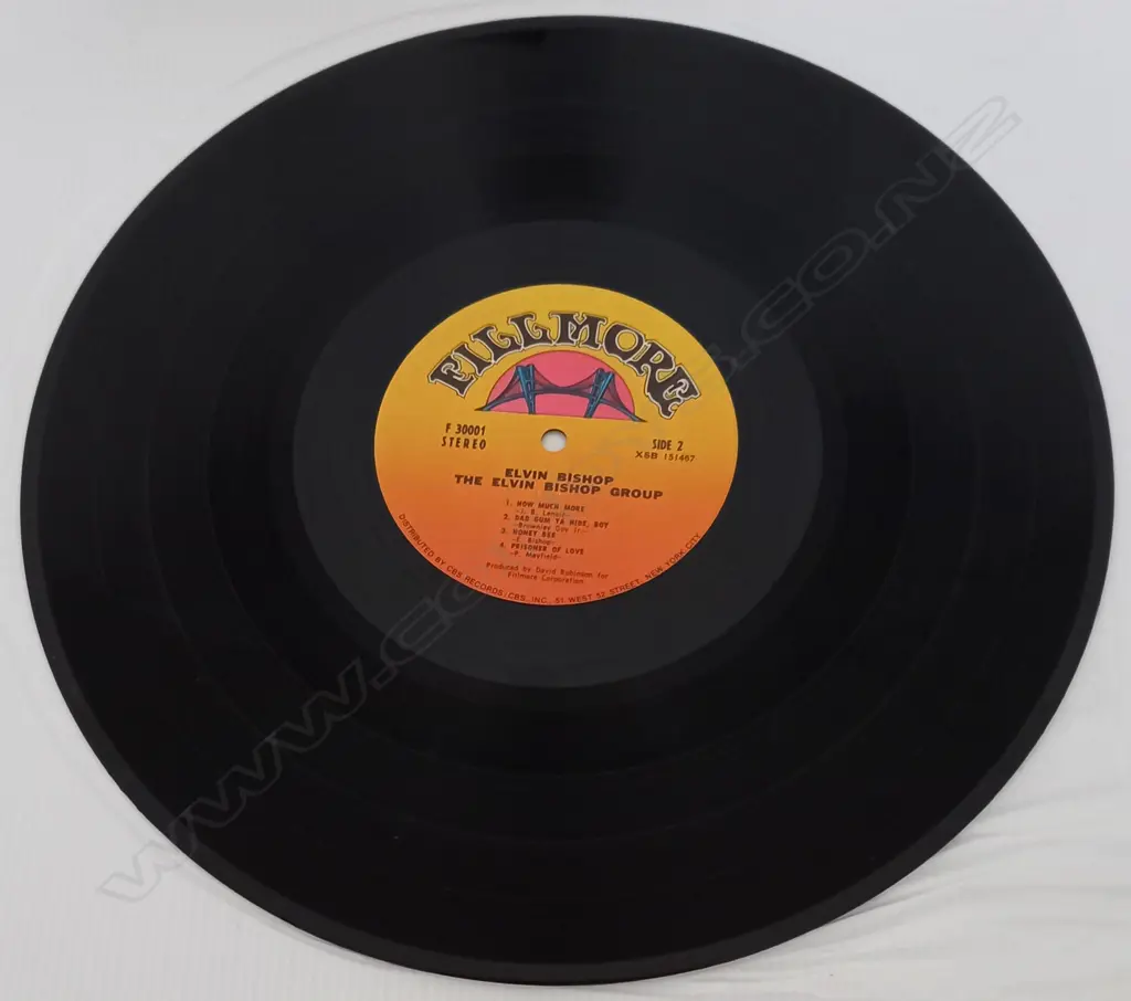 The Elvin Bishop Group, Elvin Bishop Group Image 1++